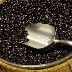 Roasted Oily Coffee Beans