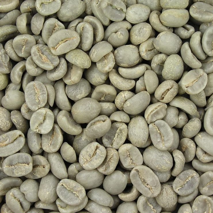 single origin coffee beans