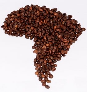 coffee beans arranged in the shape of South America